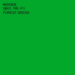 #02A829 - Forest Green Color Image