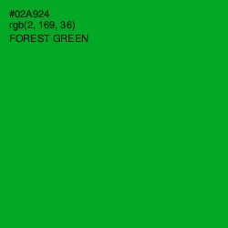 #02A924 - Forest Green Color Image