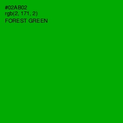 #02AB02 - Forest Green Color Image