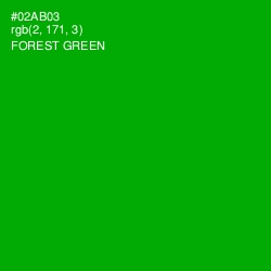 #02AB03 - Forest Green Color Image