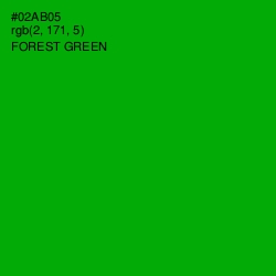 #02AB05 - Forest Green Color Image