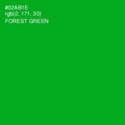 #02AB1E - Forest Green Color Image