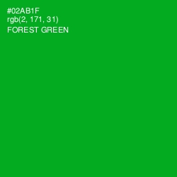 #02AB1F - Forest Green Color Image