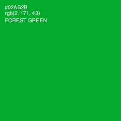 #02AB2B - Forest Green Color Image