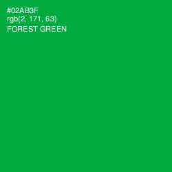 #02AB3F - Forest Green Color Image