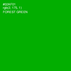 #02AF01 - Forest Green Color Image