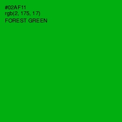 #02AF11 - Forest Green Color Image