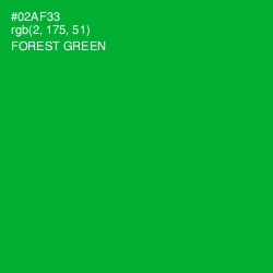 #02AF33 - Forest Green Color Image