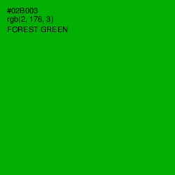 #02B003 - Forest Green Color Image