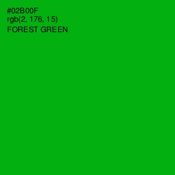 #02B00F - Forest Green Color Image