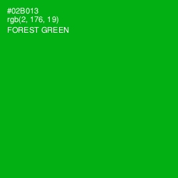 #02B013 - Forest Green Color Image