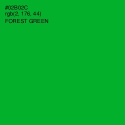 #02B02C - Forest Green Color Image