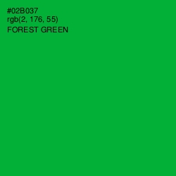 #02B037 - Forest Green Color Image