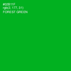 #02B11F - Forest Green Color Image