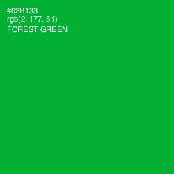 #02B133 - Forest Green Color Image