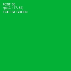 #02B135 - Forest Green Color Image