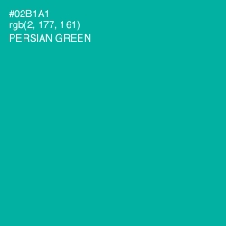 #02B1A1 - Persian Green Color Image