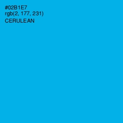 #02B1E7 - Cerulean Color Image