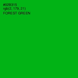 #02B315 - Forest Green Color Image