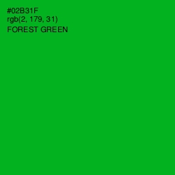 #02B31F - Forest Green Color Image