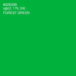 #02B33B - Forest Green Color Image