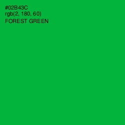 #02B43C - Forest Green Color Image