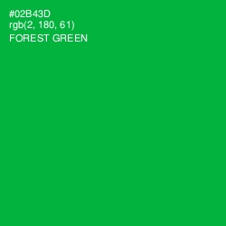 #02B43D - Forest Green Color Image