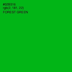 #02B516 - Forest Green Color Image