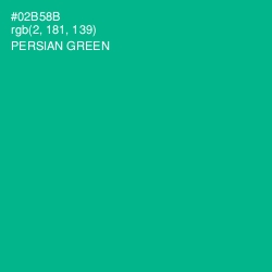 #02B58B - Persian Green Color Image