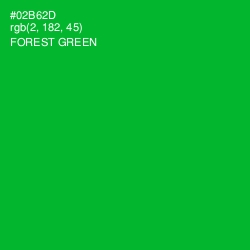 #02B62D - Forest Green Color Image