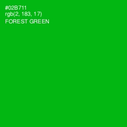 #02B711 - Forest Green Color Image