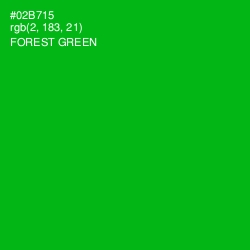 #02B715 - Forest Green Color Image