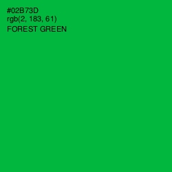 #02B73D - Forest Green Color Image