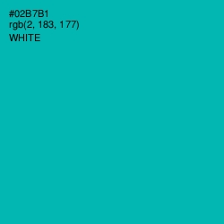 #02B7B1 - Bondi Blue Color Image