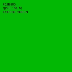 #02B805 - Forest Green Color Image