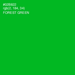 #02B822 - Forest Green Color Image