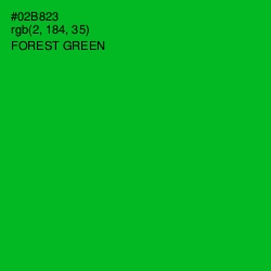 #02B823 - Forest Green Color Image