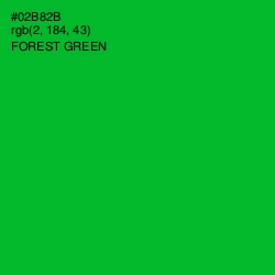 #02B82B - Forest Green Color Image