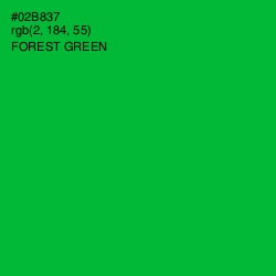 #02B837 - Forest Green Color Image