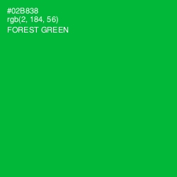 #02B838 - Forest Green Color Image