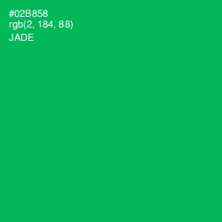 #02B858 - Jade Color Image