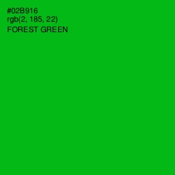 #02B916 - Forest Green Color Image