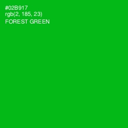 #02B917 - Forest Green Color Image