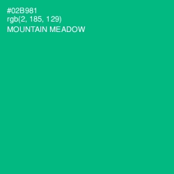 #02B981 - Mountain Meadow Color Image