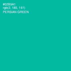 #02B9A1 - Persian Green Color Image