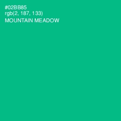 #02BB85 - Mountain Meadow Color Image