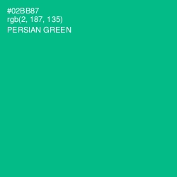 #02BB87 - Persian Green Color Image