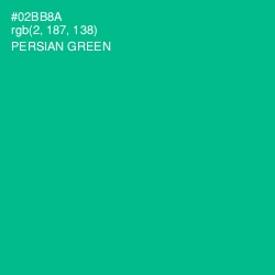 #02BB8A - Persian Green Color Image