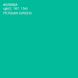#02BB9A - Persian Green Color Image