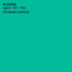 #02BB9B - Persian Green Color Image